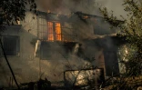 Une maison en feu lors d'incendies de forêt, le 11 août 2024 à Varnavas, au nord d'Athènes