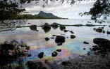 Une nappe d'hydrocarbures au bord de la plage du Petit Bel Air, le 15 août 2020 sur l'Ile Maurice