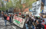 Des militants pour le climat bloquent une rue lors d'une manifestation, le 7 octobre 2019 à Melbourne, en Australie