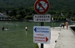 Des panneaux de signalisation pour la baignade sur le lac du Bourget, en Savoie, le 8 août 2025