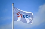 EDF compte notamment se mobiliser sur l'électrification du parc de logement social aussi bien que sur celle des Ehpad, dont 8% sont encore au fioul, et sur l'installation de bornes électriques dans les copropriétés, via sa filiale Logivolt