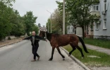 Un homme cherche à se réfugier avec son cheval pendant un bombardement à Severodonetsk, dans l'est de l'Ukraine, le 18 mai 2022