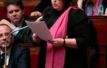 Sophie Errante, élue à l'époque sous l'étiquette Socialiste, radical, citoyen et divers gauche, à l'Assemblée nationale le  juillet 2014