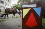 Le cheval Queteur dans les rues de Stains pour la collecte de déchets alimentaires, le 16 octobre 2023 en Seine-Saint-Denis