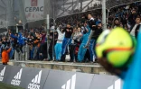 Des supporteurs de l'OM, le 18 mars 2016 au Vélodrome lors du match face à Rennes