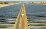 Des panneaux solaires dans la ferme photovoltaïque de Tom Warren près de la ville australienne de Dubbo, à environ 400 kilomètres à l'ouest de Sydney, le 19 janvier 2026
