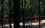 Un joggeur dans la forêt de Karura le 17 septembre 2019 au Kenya