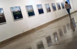 Jeudi 9 décembre 2010

Exposition &quot;Fossiles vivants&quot; de Weng Fen au musée Léon Dierx