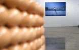 Jeudi 9 décembre 2010

Exposition &quot;Fossiles vivants&quot; de Weng Fen au musée Léon Dierx