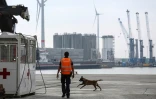 Contrôle anti-drogue de la douane belge dans le port d'Anvers, le 20 mai 2022