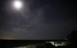 Le chasseur Enrique Galan cherche des pythons birmans dans le parc national des Everglades, le 8 août 2022 en Floride