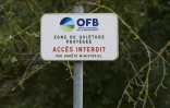 Panneau prévenant les promeneurs que la zone est protégée pour ne pas troubler les animaux du lac de Madine, le 2 juillet 2020