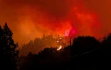 Photo prise le 7 août 2026 et diffusée le lendemain par le Service canadien de la faune de Colombie-Britannique montrant un incendie de forêt en cours près de Summerland, dans l’ouest du Canada