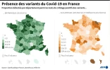 Présence des variants du Covid-19 en France