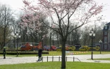 Des hélicoptères de la sécurité civile déployés à Münster (nord-ouest de l'Allemagne), le 7 avril 2018 après qu'une voiture a foncé dans la foule