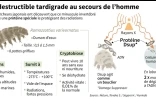 L'indestructible tardigrade au secours de l'Homme