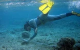 Mesures dans le lagon 

(Photo DR - Vianney Denis)
