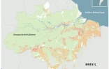 Déforestation en Amazonie brésilienne
