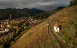 Les vignobles de Rangen entourant la chapelle Saint-Urbain et le village de Thann, dans le Haut-Rhin, le 6 novembre 2023