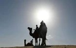 Dromadaires dans le désert de Thar, au Rajasthan, le 7 octobre 2021