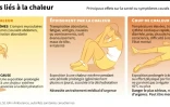 Les dangers liés à la chaleur