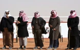 Des juges saoudiens évaluent la performance des chameaux lors d'un concours de beauté dans le cadre du festival Roi-Abdelaziz à Al-Rumhiya, à 160 km à l'est de Ryad, le 19 janvier 2018 