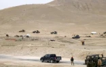 Des membres des forces pro-gouvernementales syriennes aux abords de Palmyre, le 26 mars 2016
