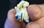 Micro-Angelo montre à l'AFP un portrait qu'il a réalisé sur un popcorn, le 23 août 2019 à Istanbul