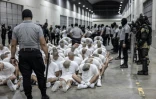 Photo diffusée le 16 mars 2025 par le service de presse de la présidence du Salvador montrant l'arrivée de membres présumés du gang vénézuélien Tren de Aragua au Centre d'Internement pour le Terrorisme (Cecot) à Tecoluca, au Salvador