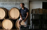 Loïc Fourrure, un pionnier de la viticulture en Bretagne, dans son chai pendant les vendanges à Theix-Noyalo, près de Vannes (Morbihan), le 24 août 2026