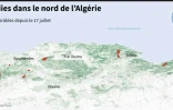 Incendies dans le nord de l'Algérie