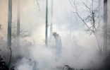 Un pompier freine l'avancée d'un incendie, le 13 août 2022 à Belin-Béliet (Gironde)