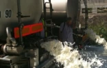Mardi 4 janvier 2011 - Les éleveurs de la Sicalait déversent 80 000 litres de lait devant la centrale thermique du Gol
