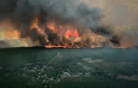 Photo diffusée par le Service départemental d'incendie et de secours (SDIS 33)) d'un incendie à Saint-Magne, le 9 août 2022 en Gironde