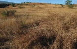 Paysage de l'Ouest 

(Photo Archives)