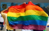 Répondant sur la question "très sensible" et "polarisante" de l'accueil des fidèles LGBT+ au sein de l'institution deux fois millénaire, Léon XIV dit s'aligner sur l'accueil de "tous, tous, tous"