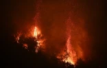 Un feu brûle dans la réserve biologique de Tingua à Nova Iguacu, dans l'État de Rio de Janeiro, au Brésil, le 13 septembre 2024