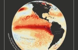 Chaleur : El Nino se renforce