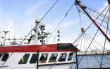 Photographie du 29 octobre 2021 d'un chalutier britannique dérouté au Havre par les autorités françaises, dont le capitaine est suspecté d'avoir pêché plus de deux tonnes de coquilles Saint-Jacques sans licence
