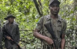 Festus Benjamin, un ranger de la fondation Africa Nature Investors, patrouille dans la forêt d'Okomu, dans le sud-ouest du Nigeria, le 11 novembre 2025