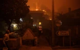 Une femme appelle à l'aide alors que le feu s'approche de sa maison dans le petit village de Ribeira de Fraguas (région d'Aveiro), dans le nord du Portugal, le 16 septembre 2024