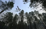 Un avion de lutte contre les incendies CL-415 de la Sécurité civile française, de type Canadair, déverse de l'eau sur les arbres d'une forêt lors d'un incendie de forêt à Luglon, dans le sud-ouest de la France, le 14 août 2026