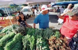Tisaneur au marché forain