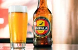 Une bouteille d'Impala, bière au manioc