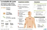 La maladie de Lyme