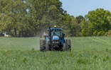 Des engrais sont répandus dans un champ à China Grove, en Caroline du Nord, le 10 avril 2026