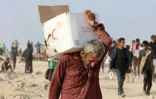 Plus de 21 mois de guerre ont déplacé la quasi-totalité de la population de Gaza et provoqué de graves pénuries de nourriture et d'autres produits de première nécessité