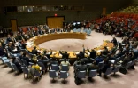 Réunion du Conseil de sécurité de l'ONU, le 24 février 2018 à New York
