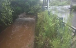 Dimanche 30 janvier 2011 - 
 
L'Est sous la pluie (Photo Mounice Najafaly)