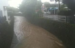 Dimanche 30 janvier 2011 - 
 
L'Est sous la pluie (Photo Mounice Najafaly)